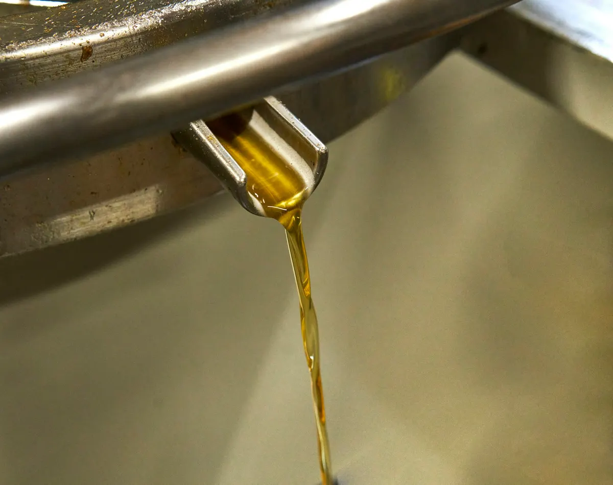 A thin stream of golden oil pouring from a steel spout into a container below